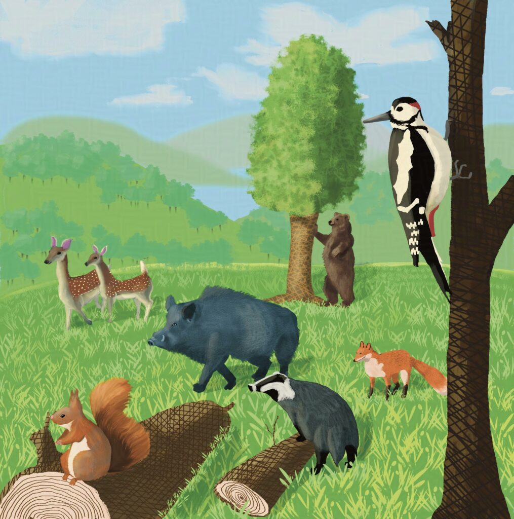 Some forest animals